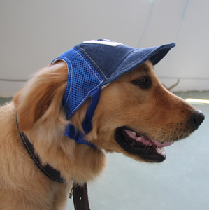 Sombrero de Viaje para Mascotas, Gorra para Perros, Gorra de Béisbol de Malla para Mascotas - Product Image 4