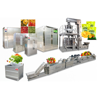 Fruitverwerkingsmachine voor het snijden en drogen van fruit en groenten