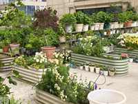 Kits de jardinières surélevées de 17 pouces de haut, durables, écologiques et de haute qualité, en acier galvanisé thermolaqué, pour fleurs de jardin.