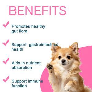OEM/ODM ผลิตภัณฑ์ขายดี Buddy Biotics, โปรไบโอติก+พรีไบโอติกแบบผง, 7 สายพันธุ์โปรไบโอติกพร้อมพรีไบโอติก FOS, ช่วยเสริมสร้างจุลินทรีย์ในลำไส้และภูมิคุ้มกัน - Product Image 4