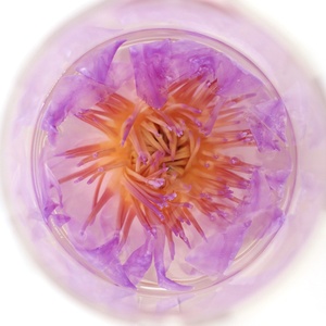 Fiori <span class=keywords><strong>di</strong></span> Nymphaea Caerulea Commestibili Biologici Lan Lian Hua, Fiori <span class=keywords><strong>di</strong></span> <span class=keywords><strong>Loto</strong></span> <span class=keywords><strong>Blu</strong></span> Essiccati per Tè - Product Image 6