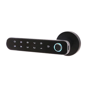 Serratura Intelligente per Porta d'Ingresso in Lega di Zinco Impermeabile e Maniglia Biometrica con Impronta Digitale con Telecomando Serrature Elettriche - Product Image 6
