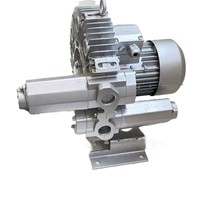 Souffleur annulaire régénératif à canal latéral 1,1 CV 0,81 kW 0,94 kW triphasé 380 V, pompe à vide pour équipement industriel