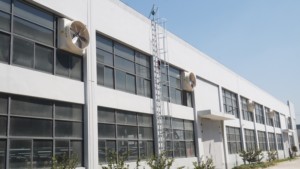 48 "औद्योगिक निकास प्रशंसक उच्च दक्षता कम शोर ग्रीनहाउस कबूतर चिकन हाउस पोल्ट्री फार्म निकास प्रशंसक - Product Image 3