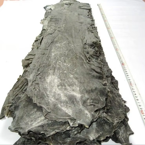 Kombu สาหร่ายทะเล alga kelp Kaine thali Hidaka สะเก็ดสาหร่ายทะเลลามิเนเรียอาหารขนม porphyra ผลิตภัณฑ์ใบ <span class=keywords><strong>mozuku</strong></span> แห้งสาหร่าย - Product Image 4