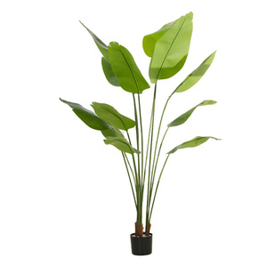 YOPIN-7596 Vente en gros 2m Arbre <span class=keywords><strong>Musa</strong></span> <span class=keywords><strong>Basjoo</strong></span> Artificiel à Toucher Réel, Feuilles de Bananier en Plastique, Pot pour la Maison, Mariage, Thanksgiving - Product Image 6