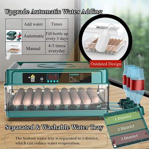 <span class=keywords><strong>2025</strong></span> New Màu Xanh Lá Cây 130Pcs Trứng Gà Mini Lồng Ấp Cho Trang Trại Nhà Sử Dụng - Product Image 2