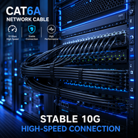 Câble Réseau Blindé 10 Gbit/s Haute Vitesse SFTP FTP UTP CAT6A Prix Usine pour Système de Centre de Données