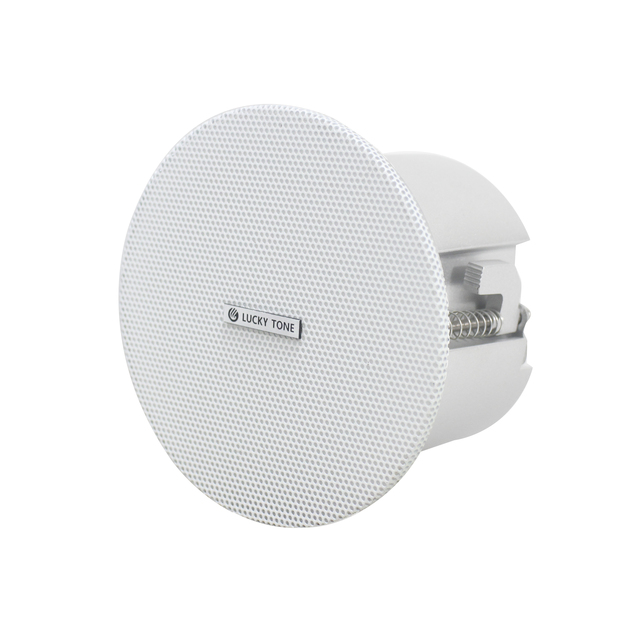 V Ceiling Speaker with 2.5 Inch Driver & Passive Radiator for High Performance Audio in Mini 15W 4Ω Setup
