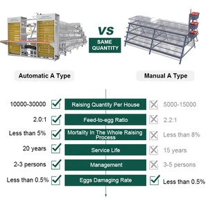 Kandang Ayam Modern Berbahan Baja Galvanis Otomatis Tipe Baterai untuk Ayam Petelur Industri - Product Image 3