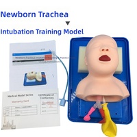 Maniquí de Entrenamiento para Intubación Traqueal Neonatal SCIEDU, Modelo de Entrenamiento Médico para Reanimación Neonatal con Demostración Instructiva
