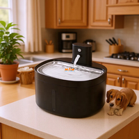 Fontaine à eau pour chat sans fil de 2,6 L, distributeur d'eau rechargeable pour animaux de compagnie avec capteur de mouvement et plateau en acier inoxydable 304
