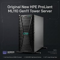 Servidor Torre HPE ProLiant ML110 Gen11 Nuevo, con un Solo Socket, Procesador Intel Xeon Escalable, 16GB de RAM, para Banco de Datos y Estación de Trabajo