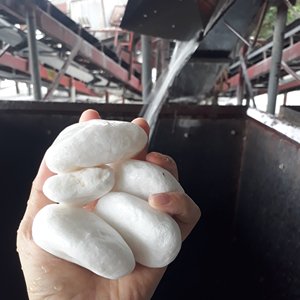 SHC - Fournisseur direct d'usine - Galets de pierre naturelle écologiques et durables pour aménagement paysager et jardinage - Gravier blanc poli - Garantie 5 ans - Product Image 1