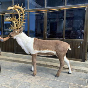 Decoraciones Navideñas para Exteriores, Juguetes <span class=keywords><strong>de</strong></span> Animales Grandes, Adorno <span class=keywords><strong>de</strong></span> Reno <span class=keywords><strong>de</strong></span> Tamaño Real - Product Image 4