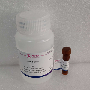 Acmec <span class=keywords><strong>RIPA</strong></span> Buffer pour tissus et cellules (avec PMSF) Cat. Réactifs généraux AC13972 100ml - Product Image 1