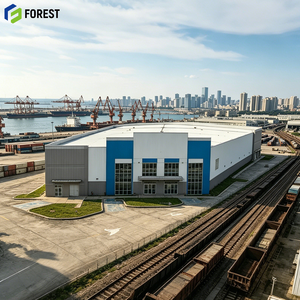 Parque Logístico de Estructura de Acero, Sistema de Construcción Industrial de Alta Resistencia, Montaje Rápido, Prefabricado, Compatible con Montacargas - Product Image 1