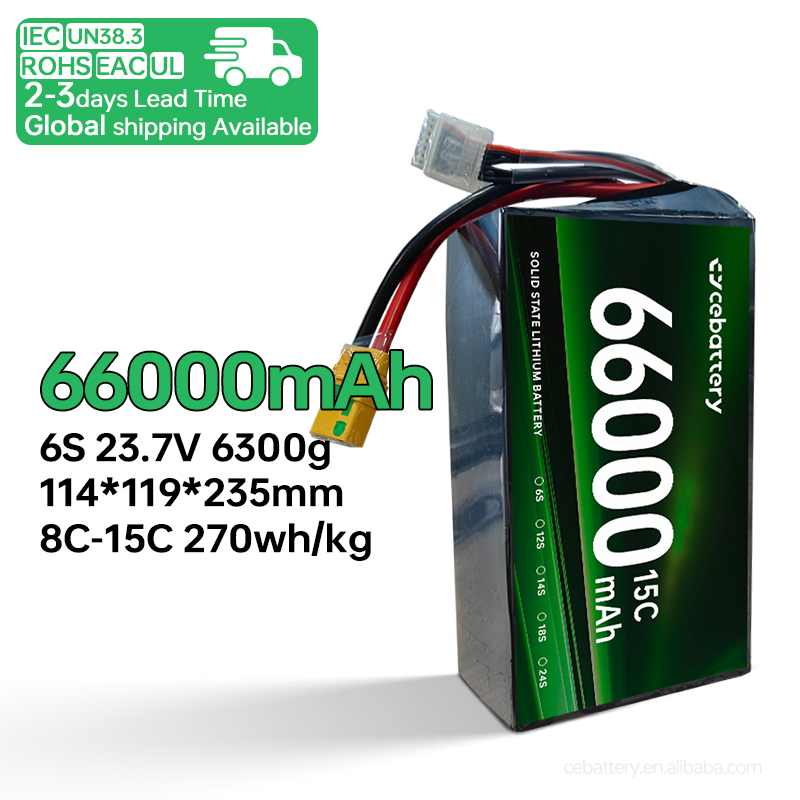 lithium ion rechargeable battery