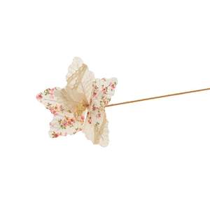 Edelweiss naturel avec fleurs et dentelle - Product Image 1