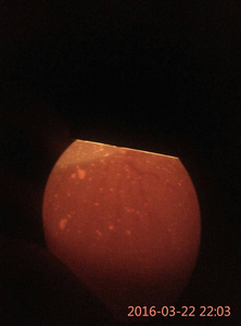 เครื่องตรวจสอบไข่ LED อัตโนมัติ - Product Image 5