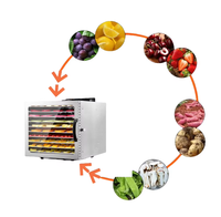 Mini-vriesdroogmachine voor het vriesdrogen van voedsel, fruit, groenten, snoep; klein schaalvriesdroogproces