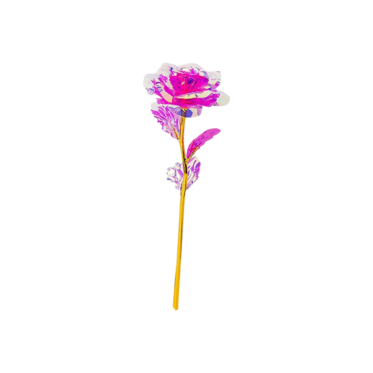 rose 1