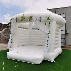 Castillo hinchable inflable de la boda del PVC del adulto/castillo inflable blanco - Product Image 1