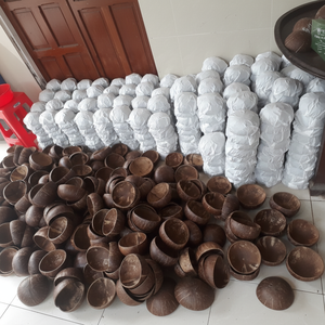 Bol et cuillères en coquille de noix de coco, pour faire soi-même, Image réelle, LOGO personnalisé, ensemble de bols et de cuillères, saladier - Product Image 1