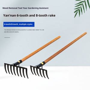 À Yannan, des râteaux à 6 <span class=keywords><strong>dents</strong></span> et à <span class=keywords><strong>8</strong></span> <span class=keywords><strong>dents</strong></span> sont utilisés pour la plantation de légumes, le labour et l'ameublissement du sol - Product Image 3