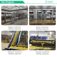 Equipo Automático de Alta Eficiencia para la Elaboración de Papas Fritas con Certificación ASME, Línea de Procesamiento de Alimentos para Fábricas de Alimentos Comerciales