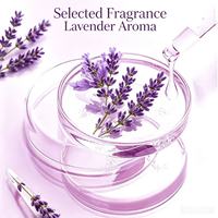 Boîte déshumidificatrice domestique à la lavande 500 ml, déshydratant au chlorure de calcium pour lutter contre les moisissures, l'humidité et les odeurs