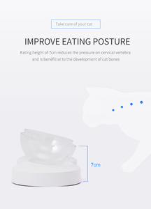 Antiderrapante Inclinação Estilo Gato Forma <span class=keywords><strong>Pet</strong></span> Double <span class=keywords><strong>Bowl</strong></span> Transparente <span class=keywords><strong>Pet</strong></span> Cat Alimentador <span class=keywords><strong>Pet</strong></span> Food Prato Bacia de água para gatos - Product Image 5