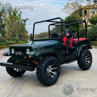 Mini jeep tout-terrain chinois pas cher 250cc 200cc 300cc 350cc 4x4 à essence, 2/4 places, buggy de plage électrique, mini jeep pour adultes