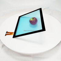 21,5 Zoll Industrielles Kapazitives Touchscreen-Panel TFT LCD Displaymodul PCAP 10-Punkt Multi-Touch 1920x1080 LVDS 500 Nits