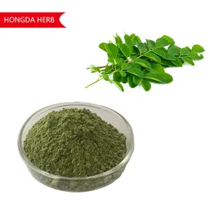 HONGDA Manufactory Supply estratto di foglie di Moringa polvere di foglie di Moringa