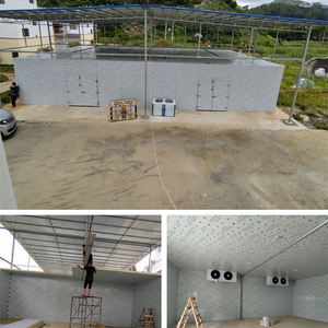 Promenade industrielle de bon congélateur des prix de chambre froide d'effet de refroidissement fort dans la chambre froide menée pour le stockage - Product Image 5