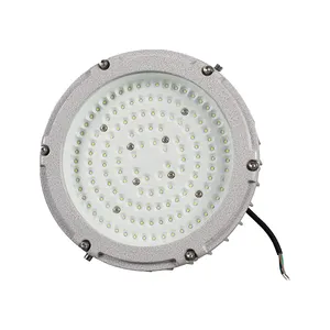 Rifornimento di fabbrica a prova di esplosione di illuminazione Ip65 impermeabile magazzino industriale 50w 100w 150w Led lampada a prova di esplosione