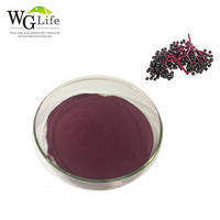 Hoge Kwaliteit Natuurlijke Zwarte Vlierbes Fruit Poeder Extract Fabriek Geleverd Voor Voedsel Pigment Trommel Verpakking