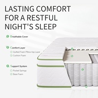 Matelas hybride Queen Size en mousse à mémoire de forme et ressorts ensachés, mousse de lit confortable avec un excellent soutien