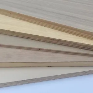 Exquisite Craftsmanship Long Size 18mm 3050x1220 PET Laminated Baltic Birch Plywood Indonesia Hotel Specific Board