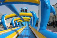 WINSUN Toboggan aquatique gonflable tropical commercial à double voie avec piscine à vendre