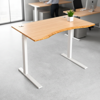 Bureau debout en bambou, table électrique réglable en hauteur, plateau en bambou, matériau écologique, bureau debout