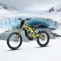 Vélo électrique tout-terrain Surron Light Bee avec freins à disque hydrauliques, fourche avant dorée, motocross électrique pour adultes, sports de montagne