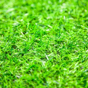 Chinese Golden Supplier Carpet Park Artificial Grass Tile In High Quality