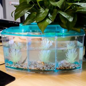 LED Light Acrylic Three Splits Betta Fish Bowl Triple <strong>Bow</strong> Fighting Isolation Breed Box for <strong>Aquarium</strong> - Product Image 5