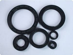 Оптовая продажа, высокое качество, превосходное уплотнение, простая установка NBR TC/TG, сальник с двумя губами для гидравлической машины - Product Image 3