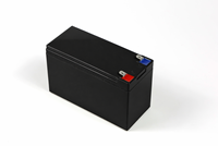 Batterie au lithium rechargeable LiFePO4 à décharge profonde 12V 5Ah 6Ah 7Ah 8Ah 9Ah 10Ah 12Ah 15Ah pour UPS, détecteur de poissons, VTT, batterie 12V