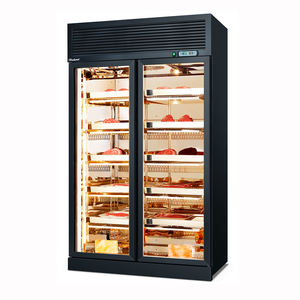 Refrigerador <span class=keywords><strong>de</strong></span> envejecimiento en seco, <span class=keywords><strong>Wagyu</strong></span> <span class=keywords><strong>filete</strong></span> <span class=keywords><strong>de</strong></span> carne, luz UV para carne, pantalla colgante para carne, Enfriador <span class=keywords><strong>de</strong></span> luz LED, vidrio <span class=keywords><strong>de</strong></span> clima frío, uso en restaurante - Product Image 2
