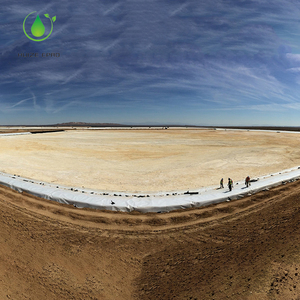 2025 nóng bán màu xanh geomembranes lót 1.0mm Cá Ao <span class=keywords><strong>HDPE</strong></span> <span class=keywords><strong>geomembrane</strong></span> Pond <span class=keywords><strong>Liner</strong></span> 3mm - Product Image 2