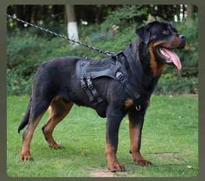 Nuevo chaleco táctico para el pecho y la espalda para perros, arné<span class=keywords><strong>s</strong></span> para el pecho para caminar, Oxford, Cuello acolchado grande, botón, correa sencilla para perros, arneses para mascotas - Product Image 6